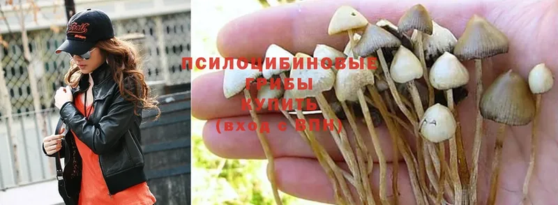 KRAKEN tor  Лысково  дарк нет официальный сайт  Псилоцибиновые грибы MAGIC MUSHROOMS 